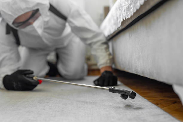Professional Bed Bug Control technician working in White Horse, NJ