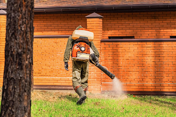 Trusted Ant Control service in White Horse, NJ - Nex Pest Control